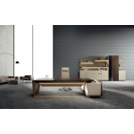 Bureau Présidentiel /ADMIRAL-B3 – Set Complet – Image 4